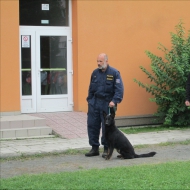 Policejní psi v ŠD