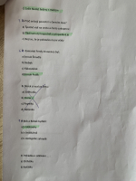 Foto img-7712_original.jpg