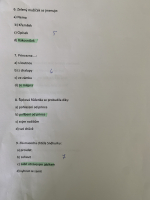 Foto img-7715_original.jpg