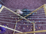 Foto img-7858_original.jpg