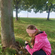 Land art ve školní družině