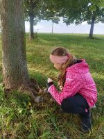 Foto img-20251009-wa0001_original.jpg