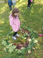 Foto img-20251009-wa0002_original.jpg