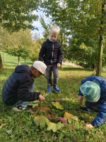 Foto img-20251009-wa0004_original.jpg