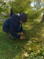 Foto img-20251009-wa0005_original.jpg