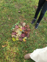 Foto img-20251009-wa0006_original.jpg