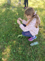 Foto img-20251009-wa0007_original.jpg