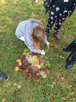 Foto img-20251009-wa0009_original.jpg