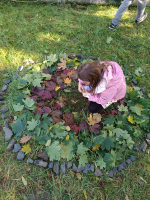 Foto img-20251009-wa0011_original.jpg