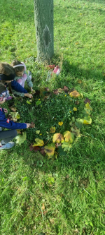 Foto img-20251009-wa0018_original.jpg