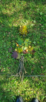 Foto img-20251009-wa0021_original.jpg