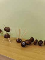 Foto img-20251113-wa0003_original.jpg