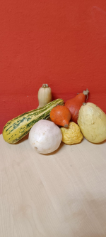 Foto img-20251113-wa0010_original.jpg