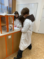 Foto img-20251212-wa0002_original.jpg