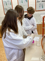 Foto img-20251212-wa0003_original.jpg