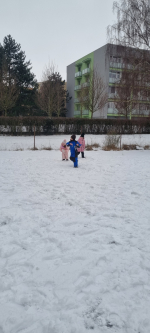 Foto 1000016433_original.jpg