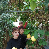 Skleník plný života: práce žáků 7. ročníku přináší ovoce