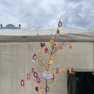 Zdobení břízky na novojičínském náměstí