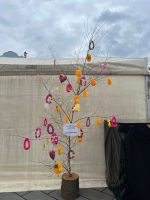 Foto whatsapp-image-2026-03-30-at-145542_original.jpeg