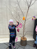 Foto whatsapp-image-2026-03-30-at-145544-4_original.jpeg