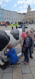 Foto whatsapp-image-2026-04-22-at-103959_original.jpeg