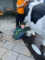 Foto whatsapp-image-2026-04-22-at-111255_1_original.jpeg