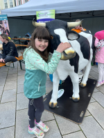 Foto whatsapp-image-2026-04-22-at-111255_original.jpeg