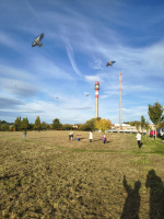 Foto af51bc8f-8c1c-4596-8be4-af767d14cb74_original.jpg