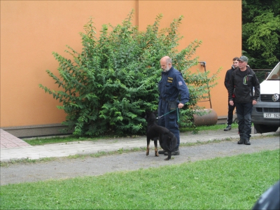 Fotogalerie Policejní psi v ŠD, foto č. 11