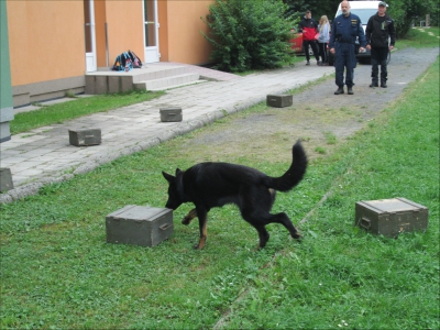 Fotogalerie Policejní psi v ŠD, foto č. 4