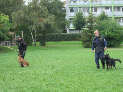 Fotogalerie Policejní psi v ŠD, foto č. 1