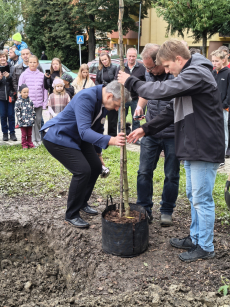 Fotogalerie 50 let školy, foto č. 21
