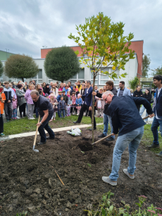 Fotogalerie 50 let školy, foto č. 6