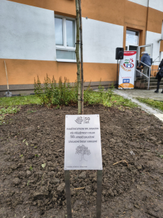 Fotogalerie 50 let školy, foto č. 55