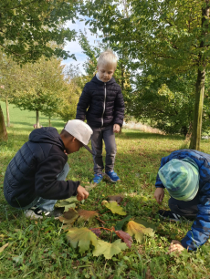 Fotogalerie Land art ve školní družině, foto č. 23