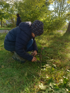 Fotogalerie Land art ve školní družině, foto č. 24