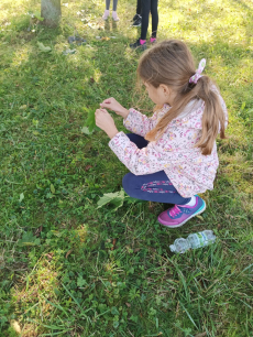 Fotogalerie Land art ve školní družině, foto č. 16