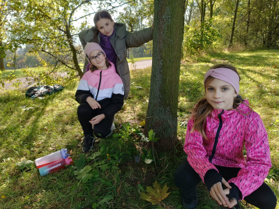 Fotogalerie Land art ve školní družině, foto č. 14