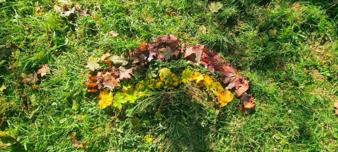 Fotogalerie Land art ve školní družině, foto č. 5