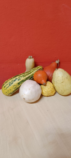 Fotogalerie Vítání podzimu ve školní družině, foto č. 30