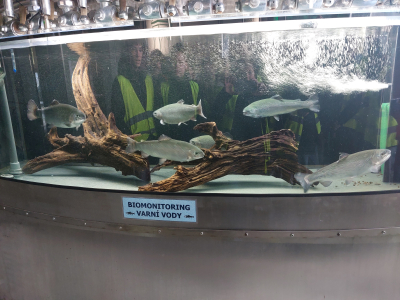 Fotogalerie Exkurze do Hyundai Mobis a pivovaru Radegast, foto č. 11