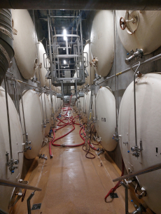 Fotogalerie Exkurze do Hyundai Mobis a pivovaru Radegast, foto č. 6