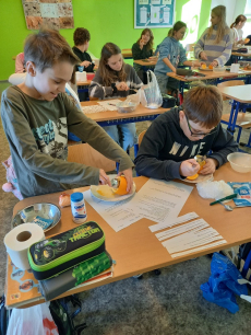 Fotogalerie Mumifikace pomeranče, foto č. 13