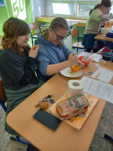 Fotogalerie Mumifikace pomeranče, foto č. 9