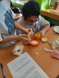 Fotogalerie Mumifikace pomeranče, foto č. 7