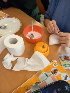 Fotogalerie Mumifikace pomeranče, foto č. 12