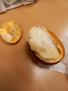 Fotogalerie Mumifikace pomeranče, foto č. 5