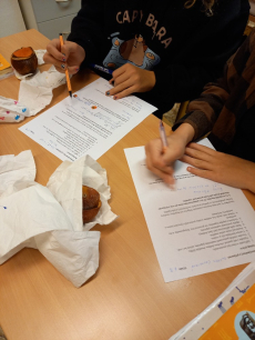 Fotogalerie Mumifikace pomeranče, foto č. 2