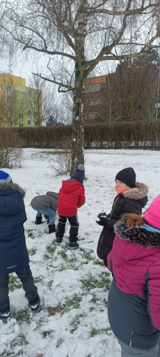 Fotogalerie Hurá na sníh, foto č. 21