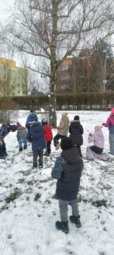 Fotogalerie Hurá na sníh, foto č. 13